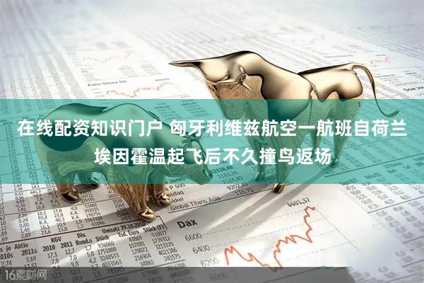 在线配资知识门户 匈牙利维兹航空一航班自荷兰埃因霍温起飞后不久撞鸟返场